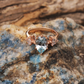 rose gold plated womens ring jwelcart.com